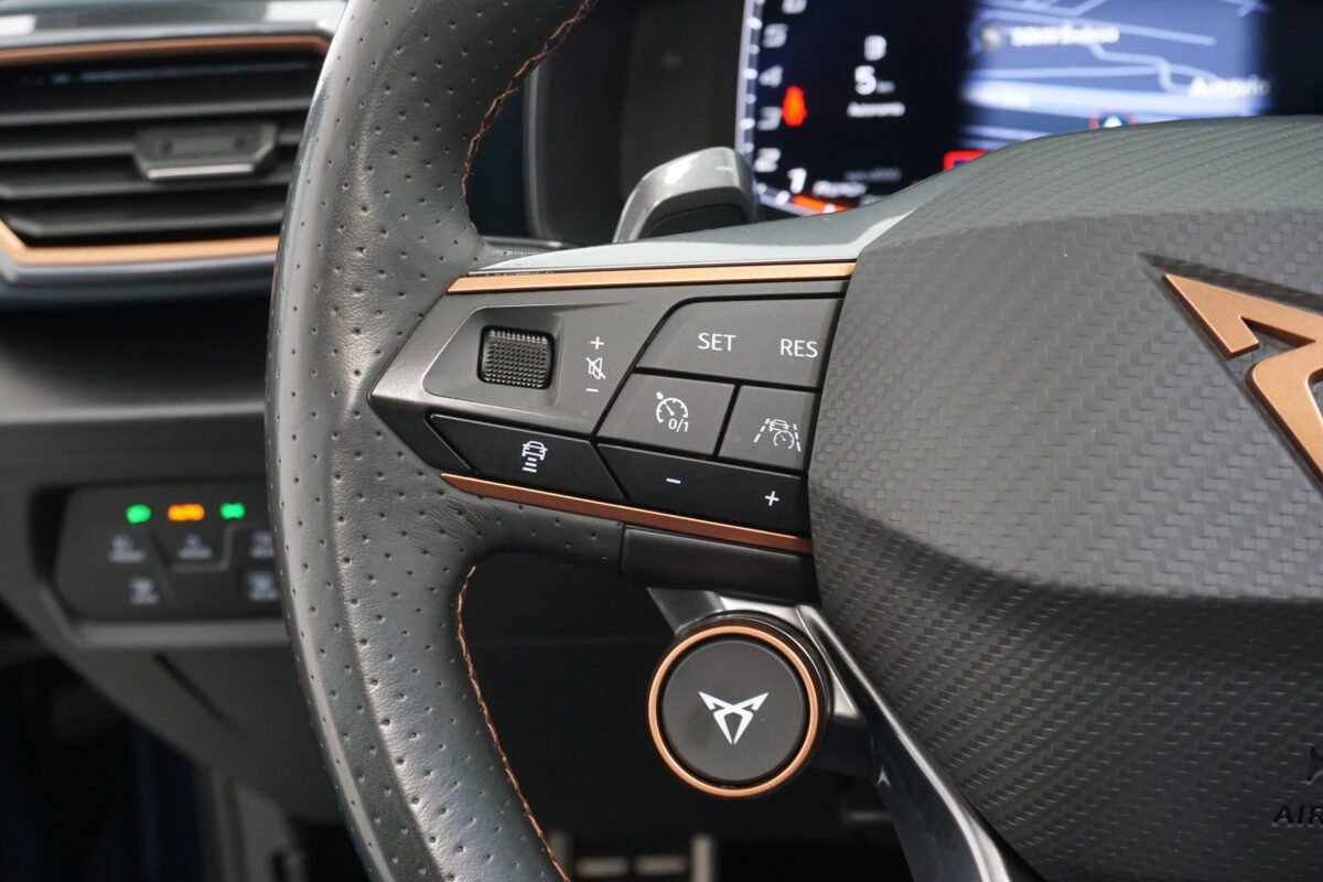 CUPRA FORMENTOR VZ LAUNCH EDITION PETROL 2.0 TSI DSG 4DRIVE 310 CV