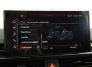 AUDI RS4 AVANT 2.9 TFSI QUATTRO TIPTRONIC 450 CV